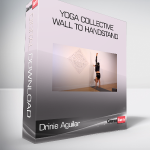 Drinie Aguilar - Yoga Collective - Wall to Handstand
