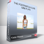 Katie Pickett - The Postpartum Cure MINI Plan